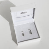 Miro Charms - Pair - Silver